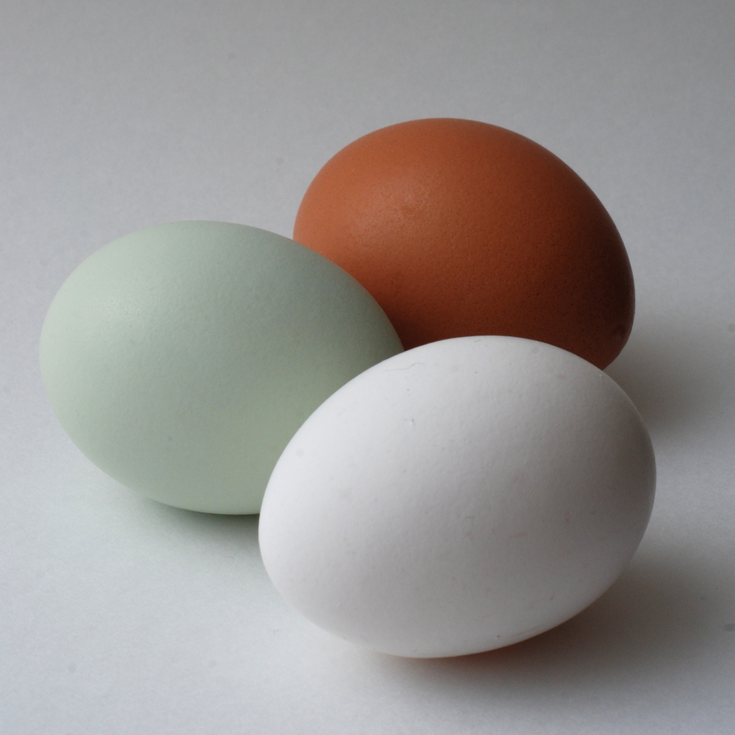 Different colored eggs